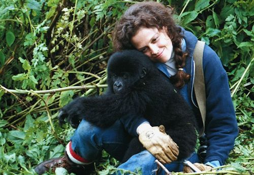 Digit-and-dian-Fossey