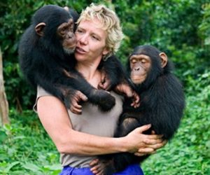 Ngamba-chimpanzees-uganda