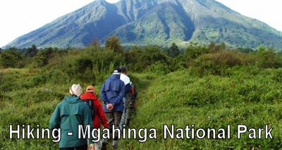 hiking-mgahinga-uganda