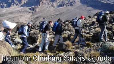 mountain-climbing-safari-uganda