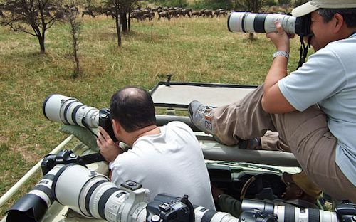 photographic-safaris-uganda