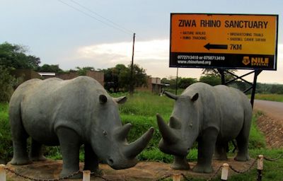 ziwa-rhino-sanctuary