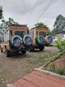 AA Safaris and Tours