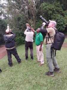 AA Safaris and Tours