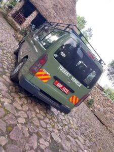 AA Safaris and Tours