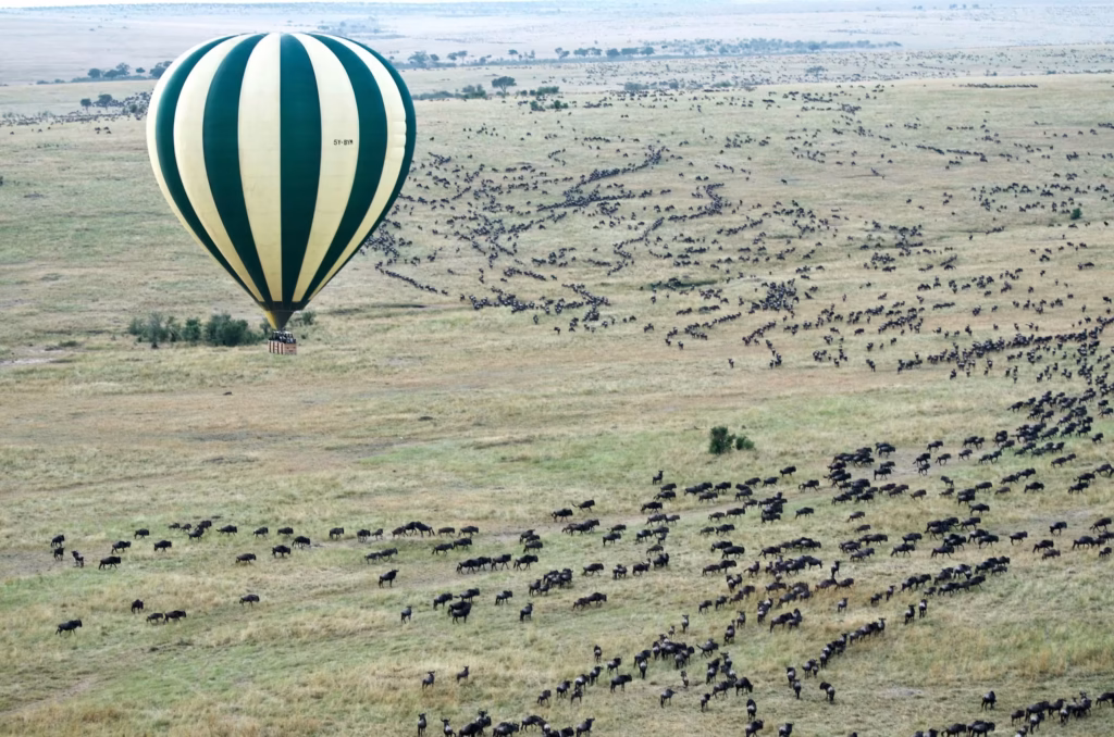 Hot-Air Balloon Safaris
