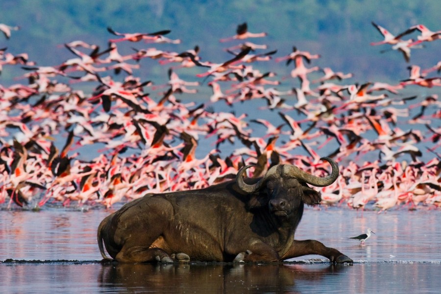 Lake Nakuru National Park