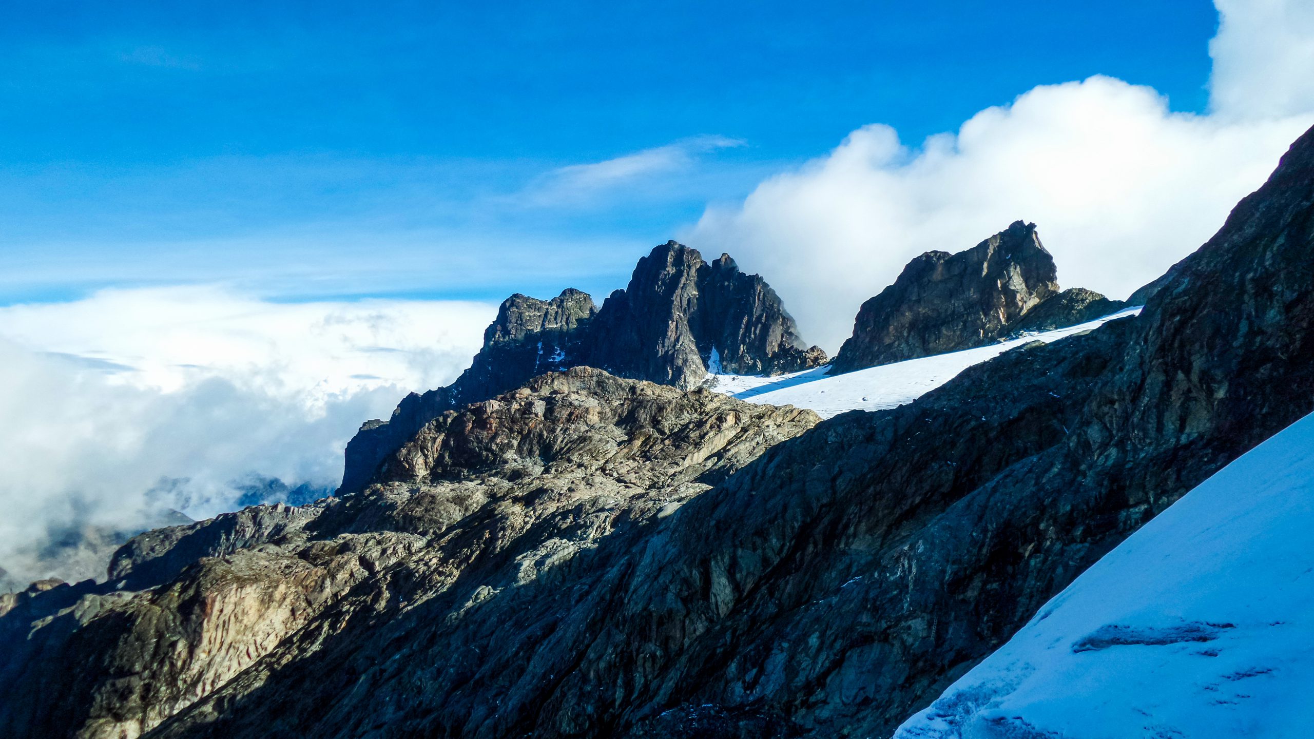 Rwenzori Mountains Safari