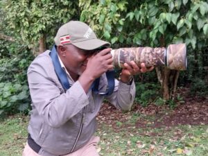 aa safari driver guide