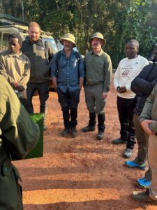 aa safaris and tours