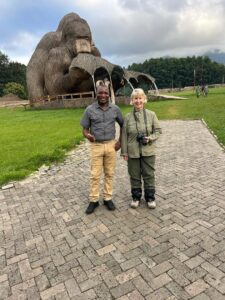 aa safaris and tours