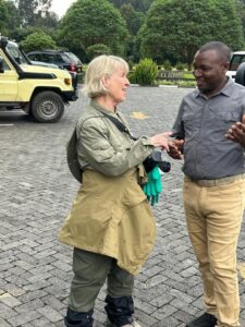 aa safaris and tours