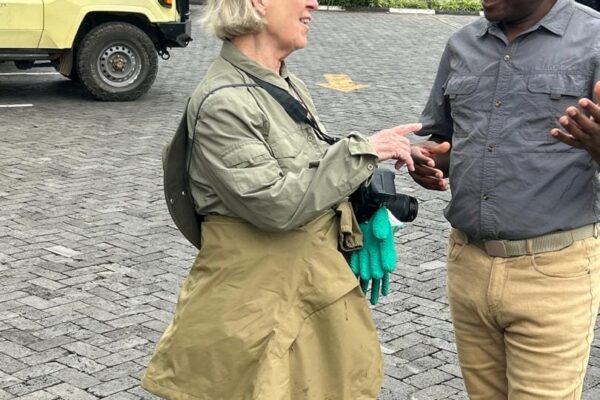 aa safaris and tours aa safaris and tours