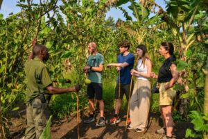 agri-tours in uganda