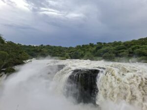 murchison falls safari