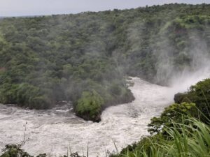 murchison falls safaris