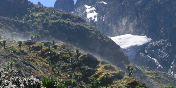 Rwenzori Mountain 